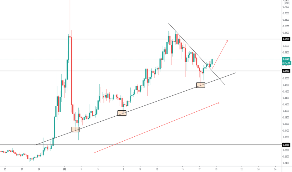 xrp币分析(xrp币价格金色财经)