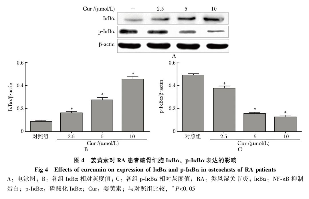 p65xrp6(加州prop65)